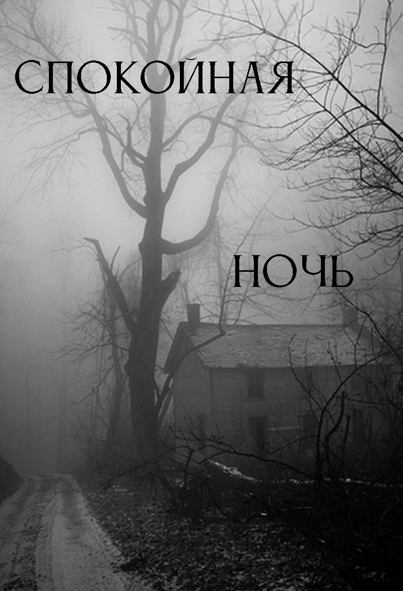 Спокойная ночь