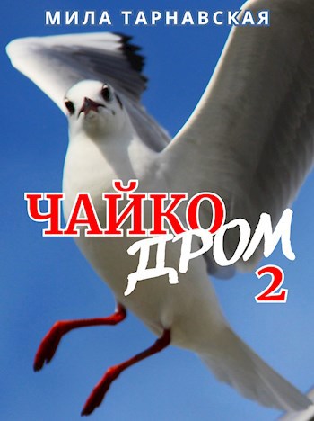 ЧайкоДРОМ-2