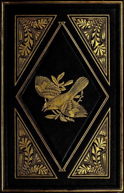 Светлые волы кислотные воды стерильные воды