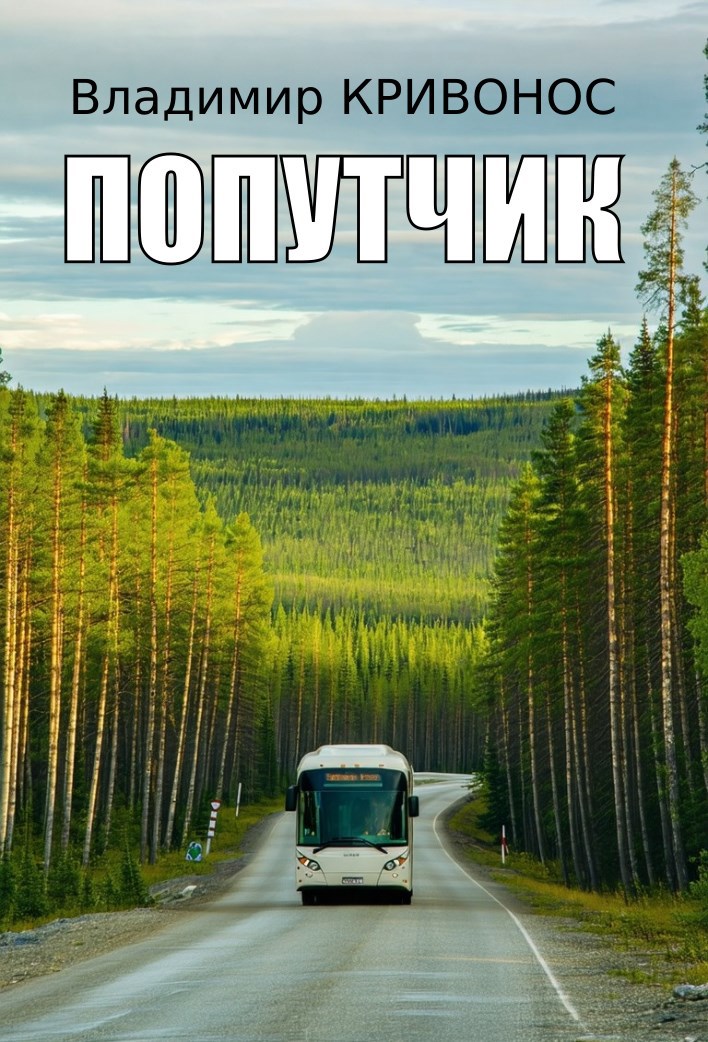 Попутчик
