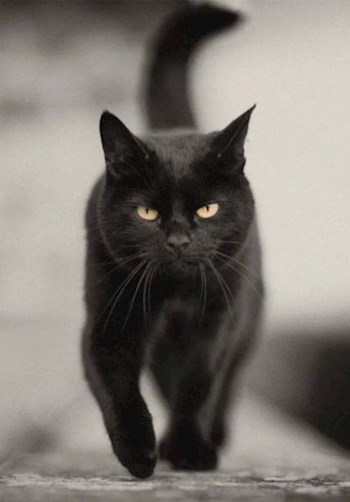 Он вернулся