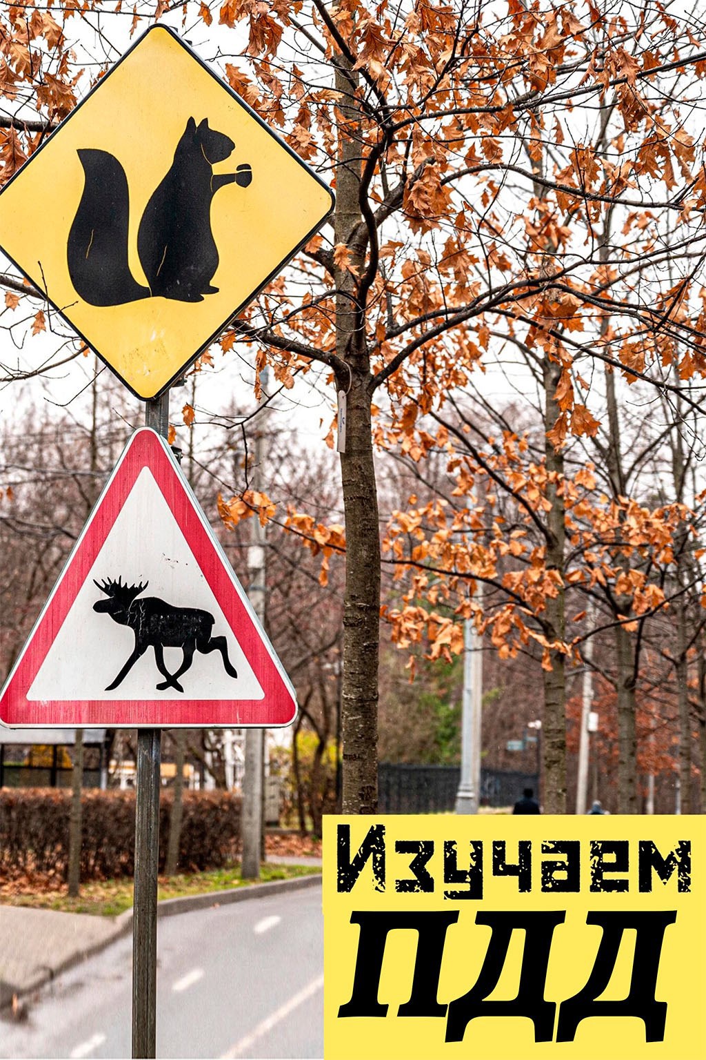Изучаем ПДД