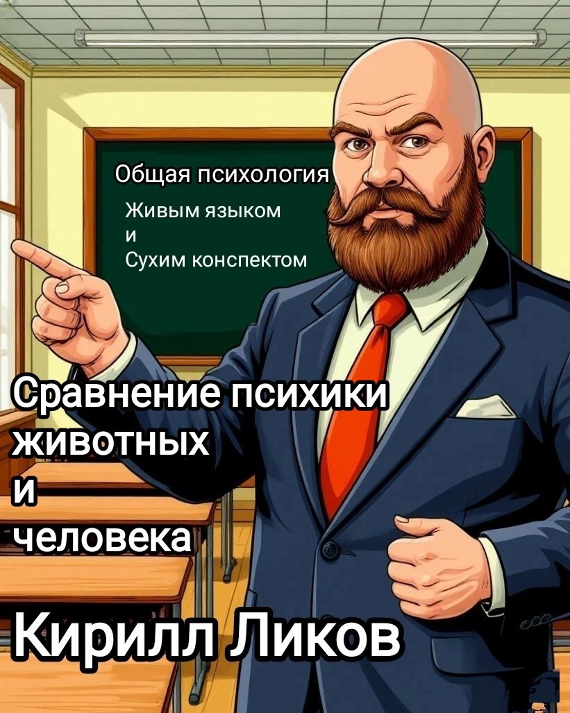 Сравнение психи животных и человека