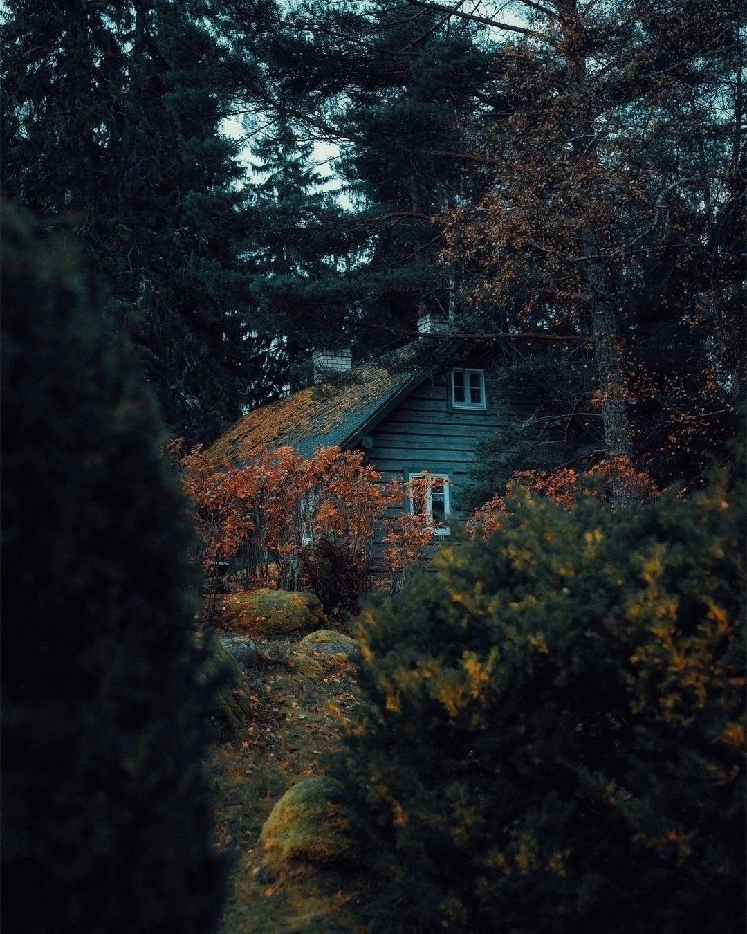 Сказания Гидроземья. Том 1