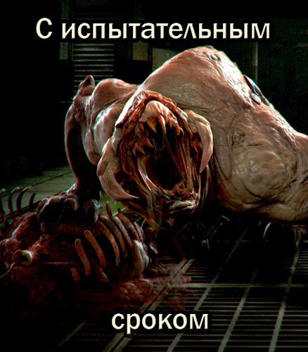 С испытательным сроком