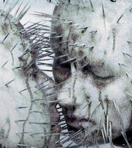 Розы в феврале