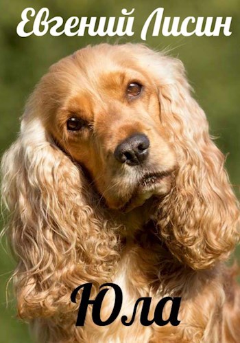 Юла