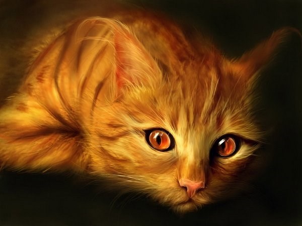 Кошки- мышки..