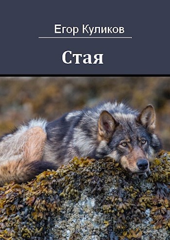Стая