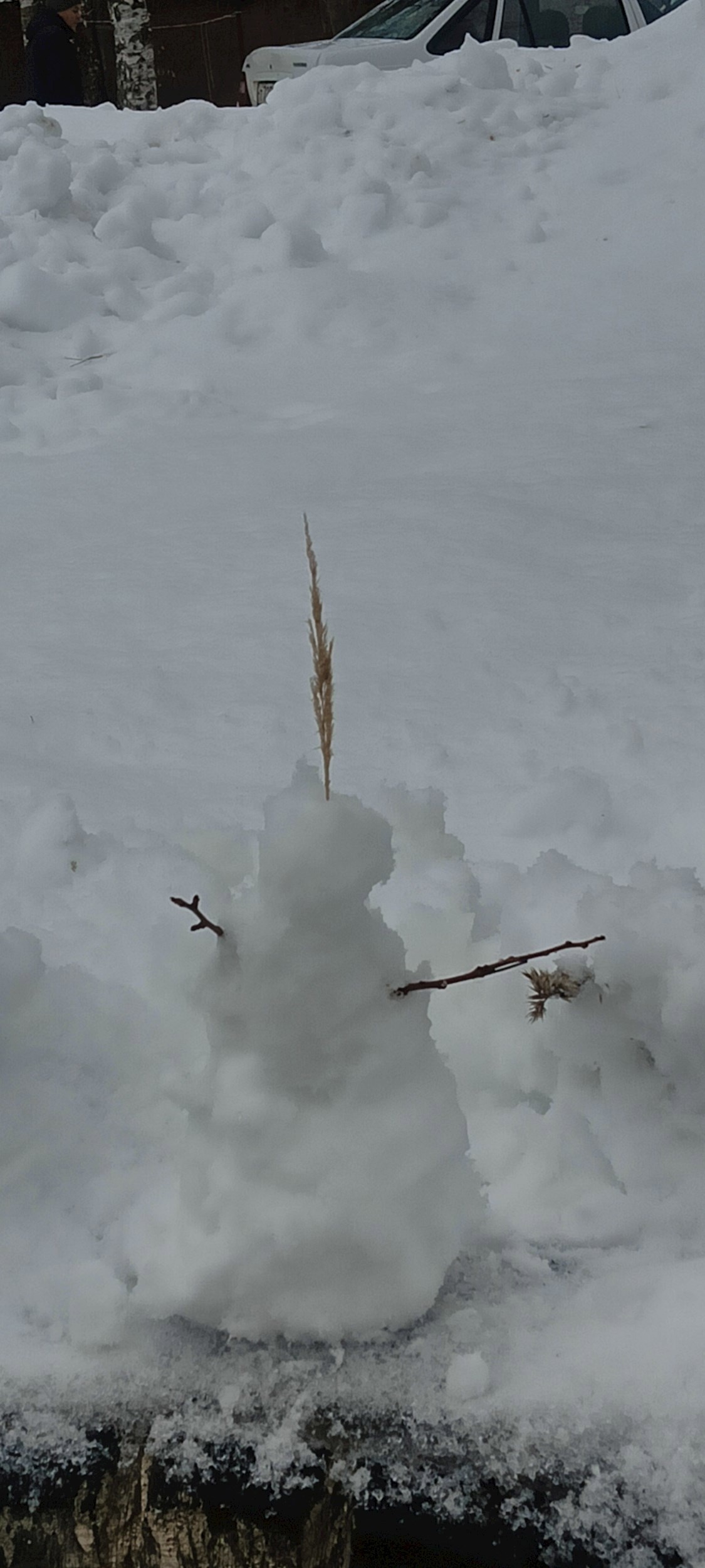 Записи душебольного