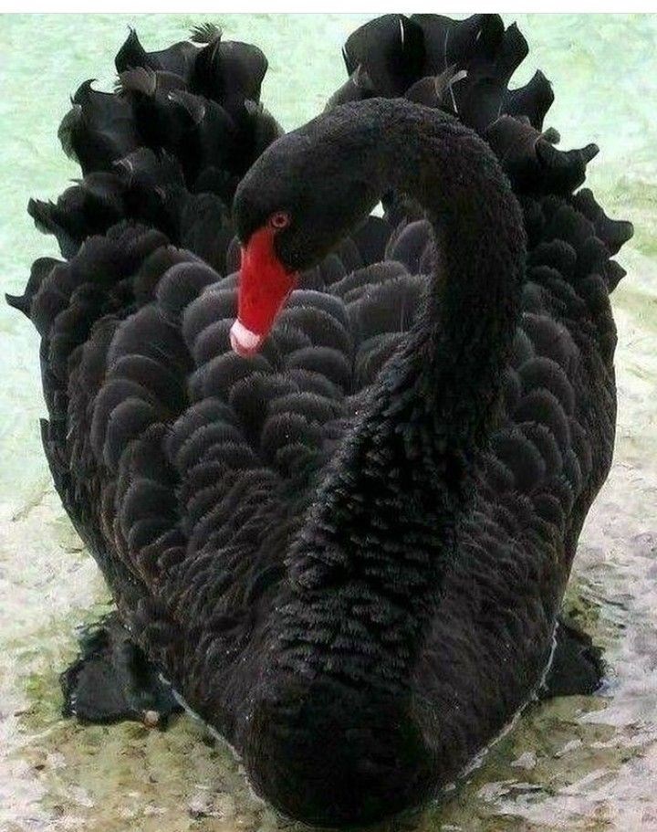 Посмотри на себя