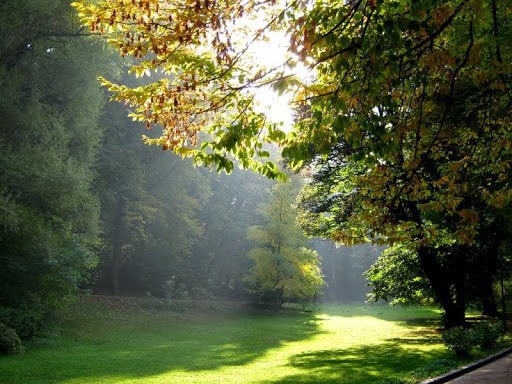 Искусство видеть прекрасное