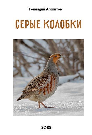 Серые колобки