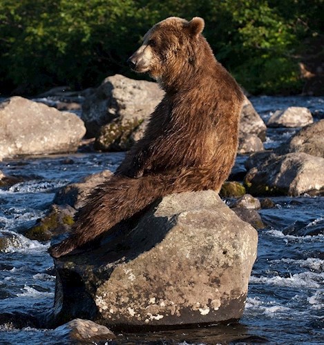 Миша меломан.