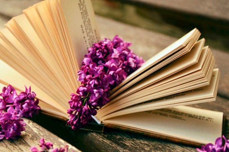 Сборник стихов