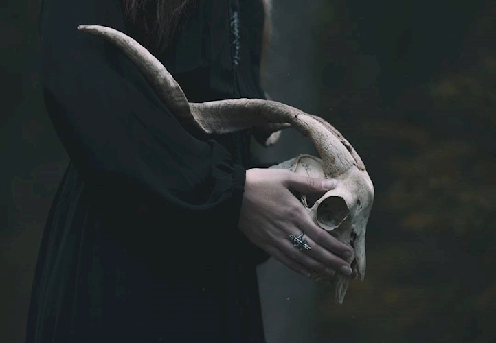 Козья морда