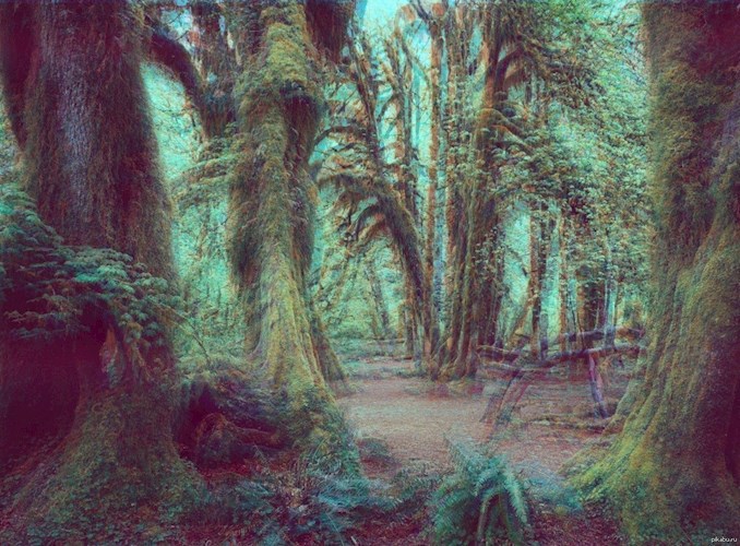Лес