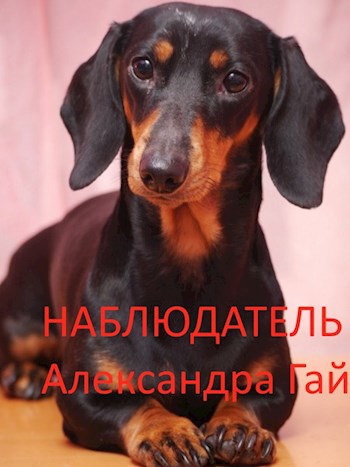 Наблюдатель