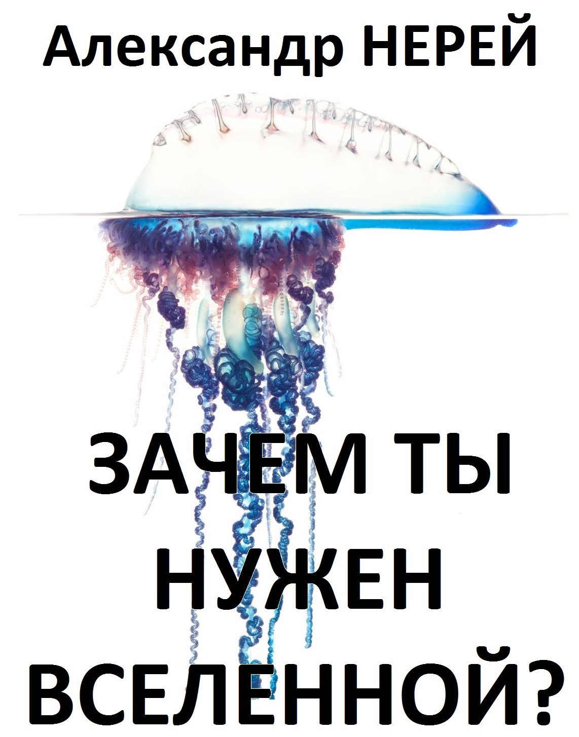 Зачем ты нужен вселенной?