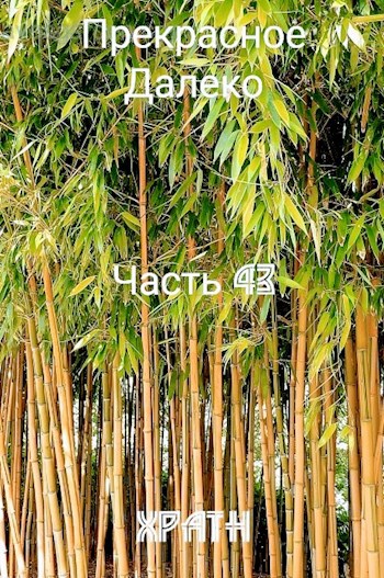 Прекрасное Далеко. Часть 43