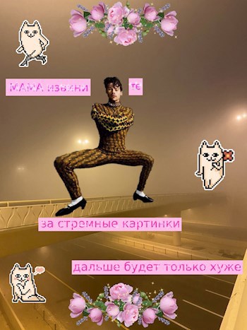 Мем Маринетт Мортем с котиками и Гарри Стайлсом - это искусство?