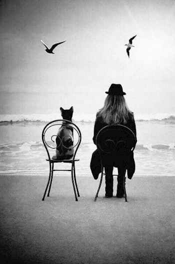 Нарисовать красивую птичку