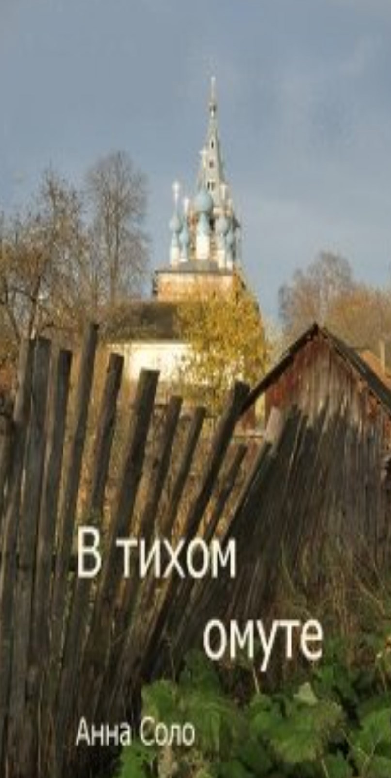 В тихом омуте