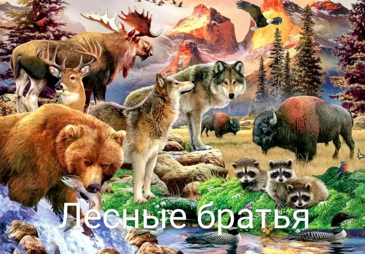 Заяц, волк и лесные братья .