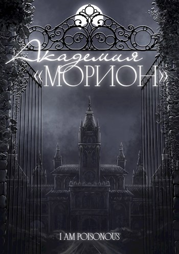 Академия «Морион»
