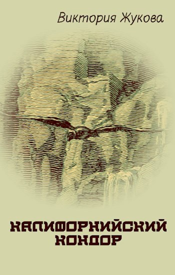 Калифорнийский кондор