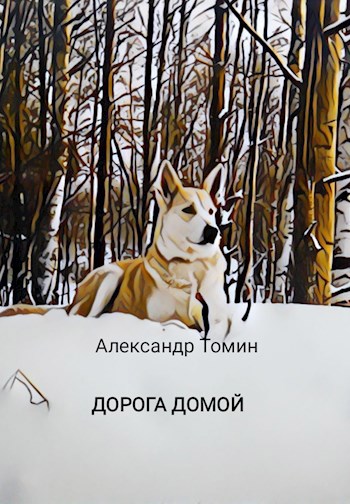 Дорога домой