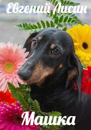 Машка