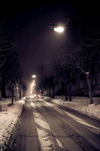 Дорога домой