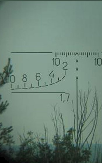 Удачный выстрел