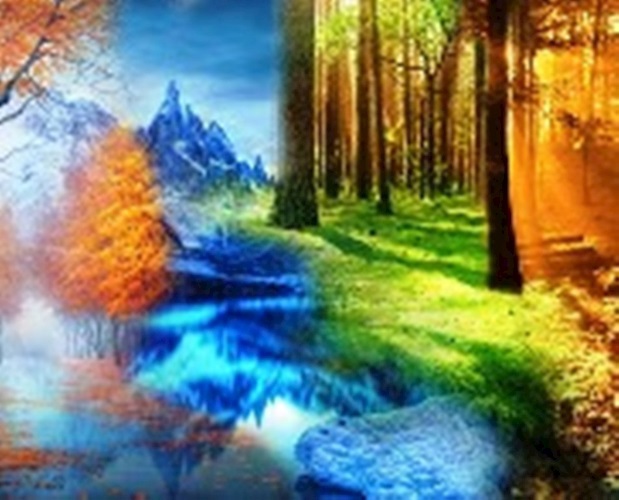 Времена года