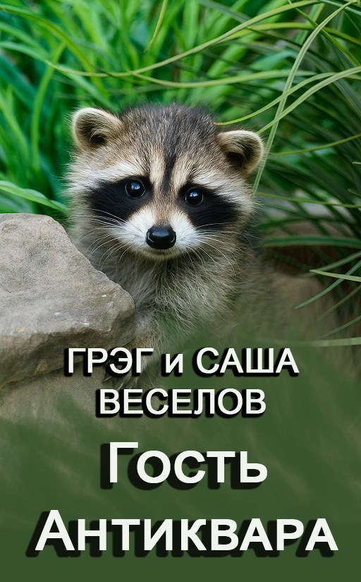 Гость антиквара