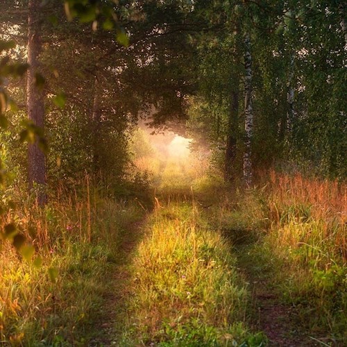 Иван да Марья