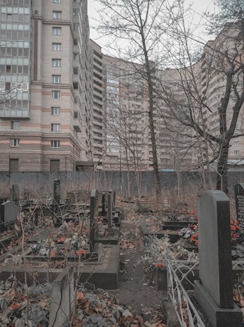 Живи свою чертову жизнь