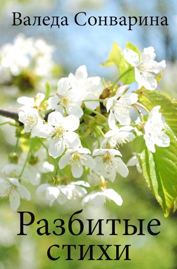 Разбитые стихи