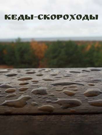 Кеды-скороходы