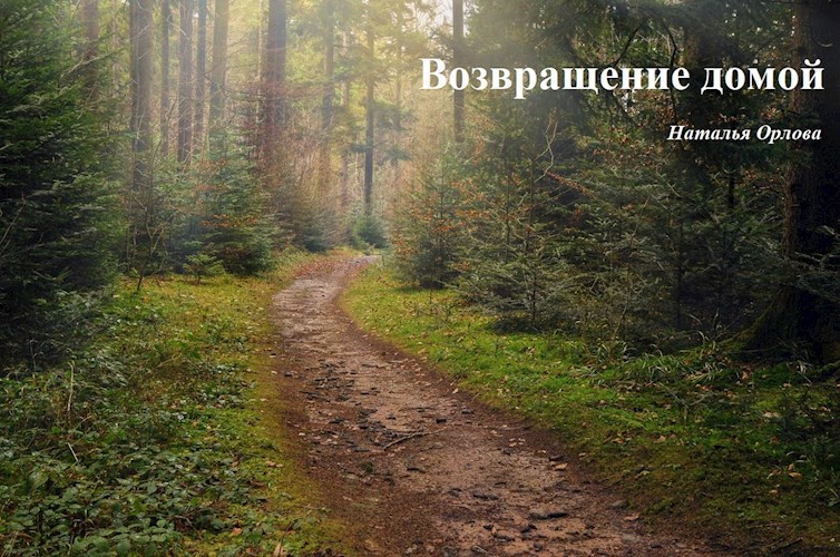 Возвращение домой.