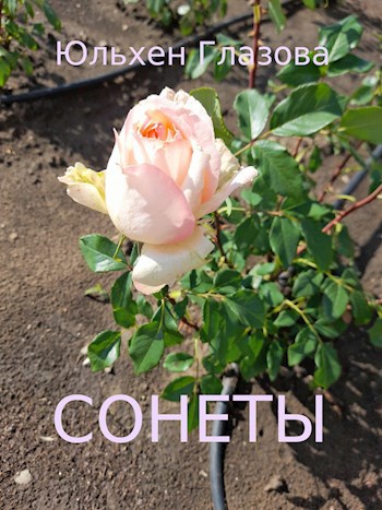 Сонеты