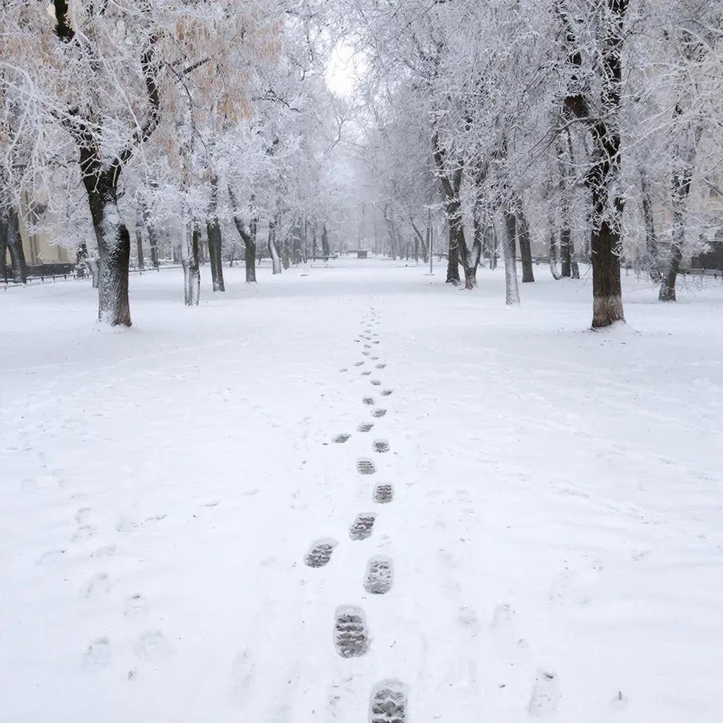 Грабли зимы