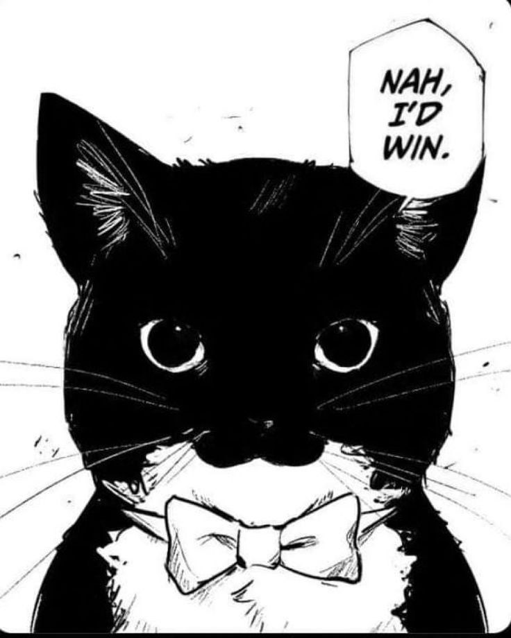 Котики и Магия: не лезь, убьёт