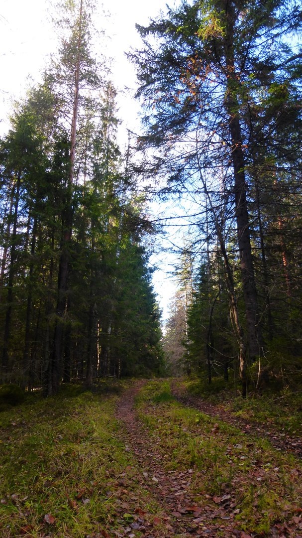 Пещера сказок