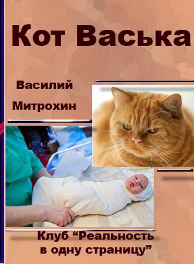 Кот Васька автор - Василий Митрохин