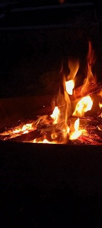 Бессмертные