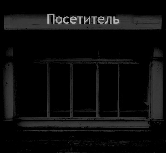 Посетитель