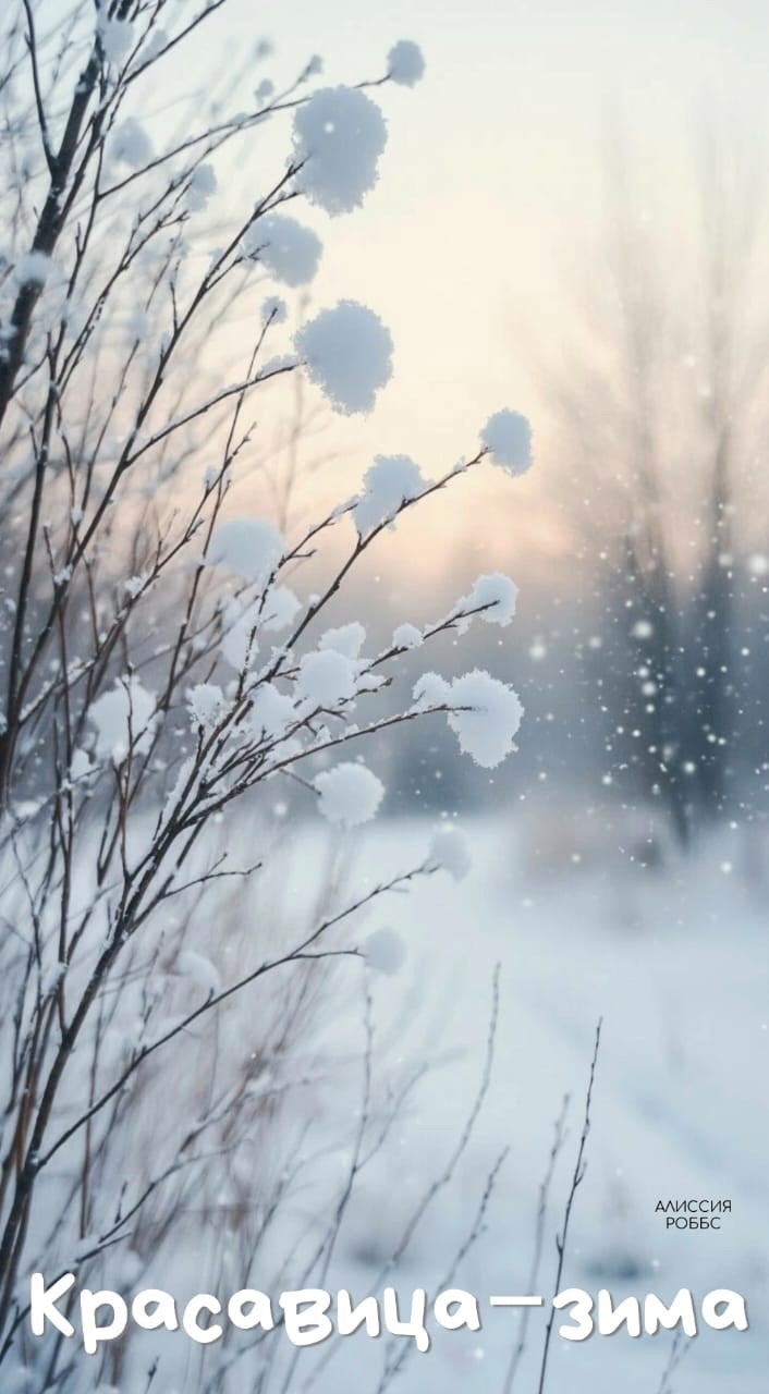 Красавица зима