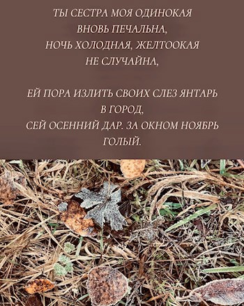 Отражение